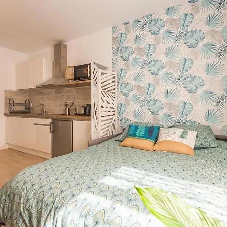 L'exotique Narbonnais 公寓 *